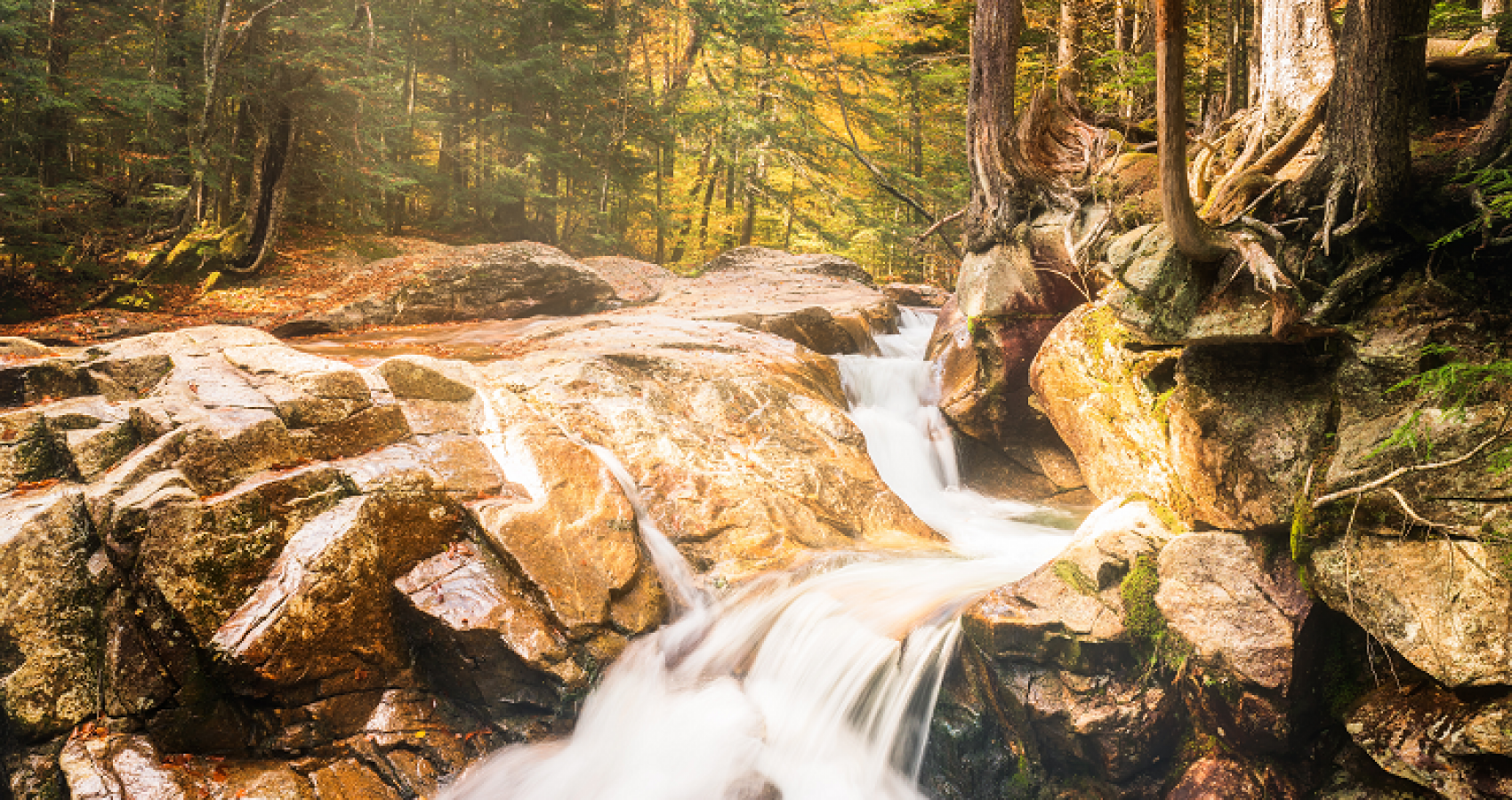 Hiking these waterfall trails in NH's White Mountains brings stunning scenery like this to life.